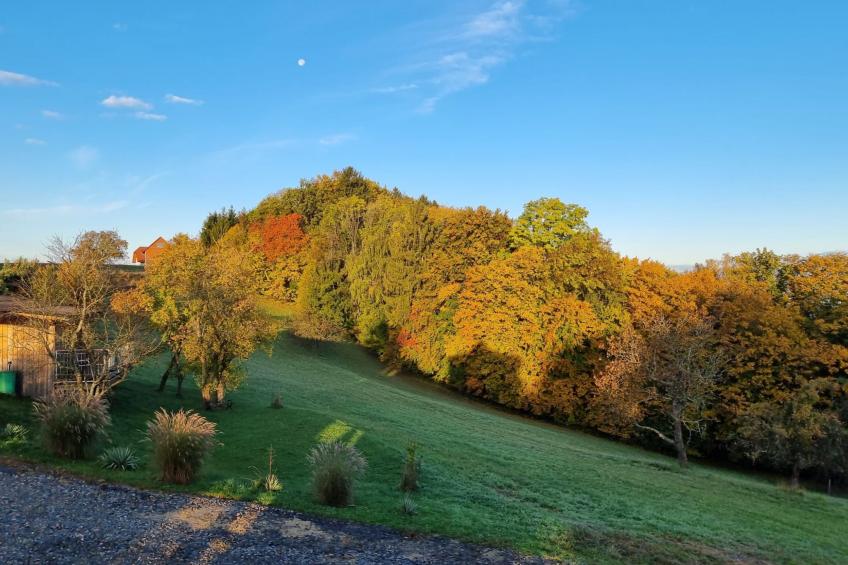 Appartement Apollo in der Wohlfühloase am Trausdorfberg mit Sauna Whirlpoolnutz - foto 48