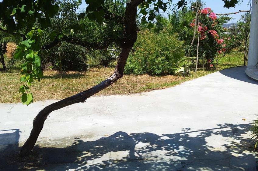 Kleine Villa mit geschlossenem Garten in Parabita - foto 10