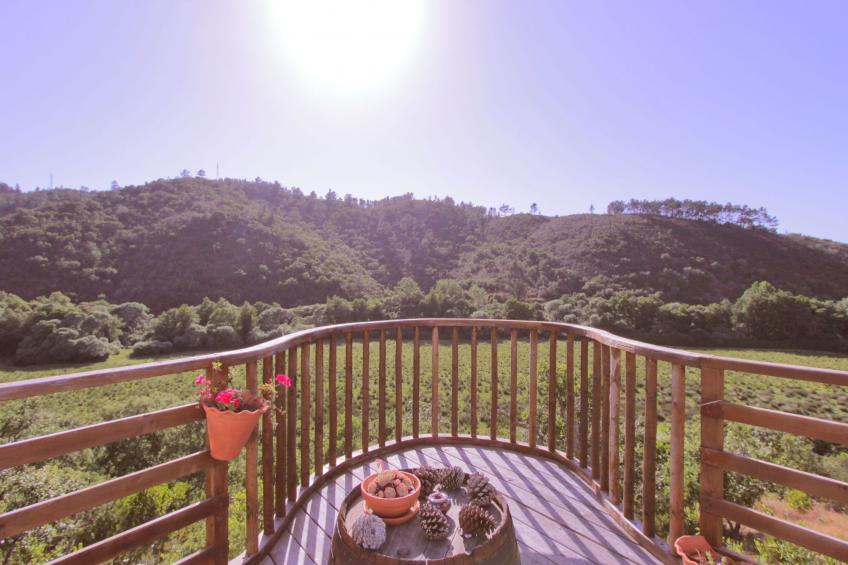 "The Natural Elements" - foto 49