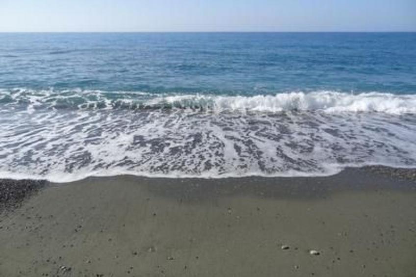 Spiti Papaya - foto 26