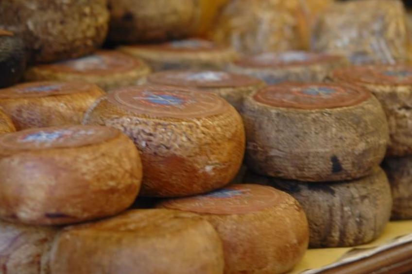 Apartment Rosa Canina (Wilde Rose) - foto 33