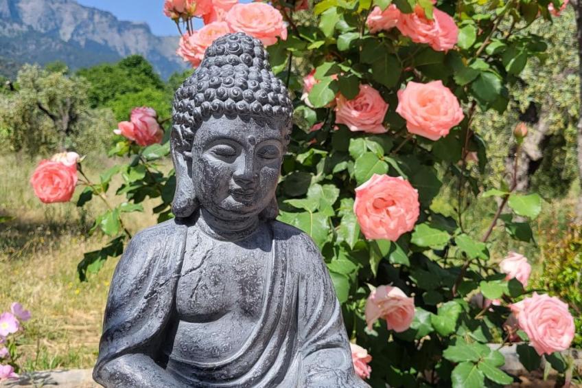 in Thasos mit Großer Terrasse - foto 4