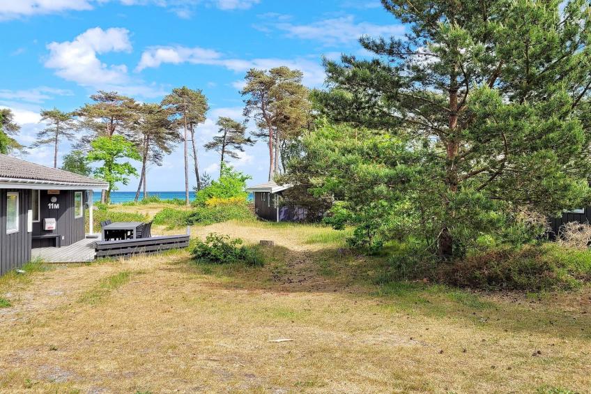 FUGLEKONGEN - foto 17