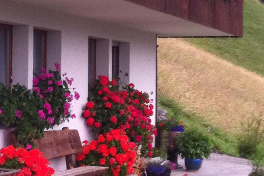 Anneliese Schaad Studio - foto 7