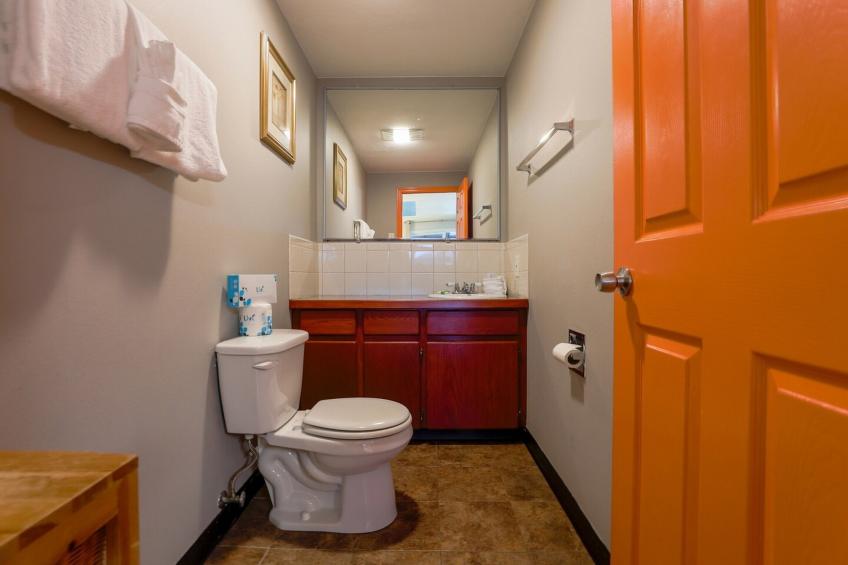 Premium King Room with Jetted Tub - foto 12