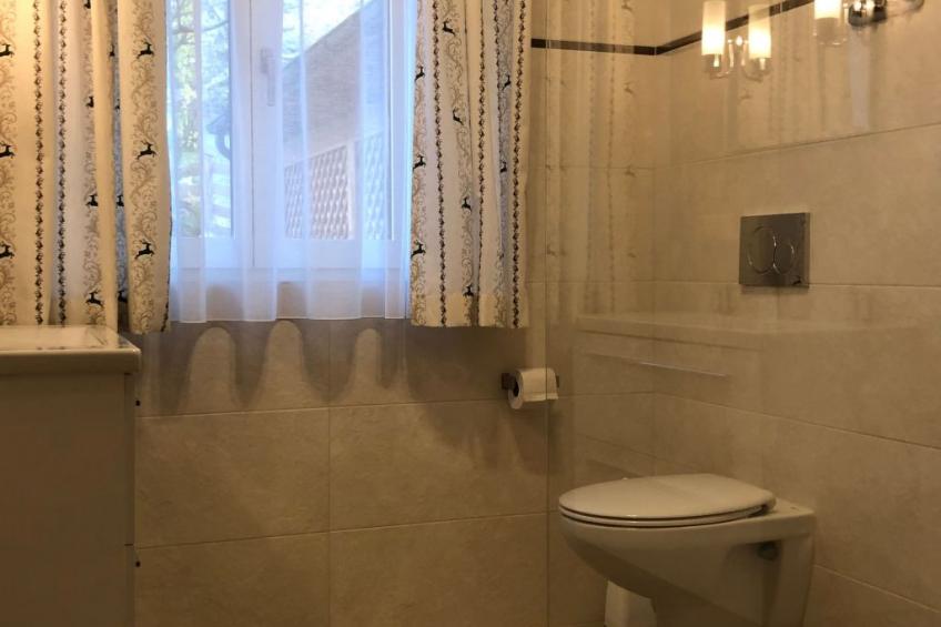 Tolle Wohnung in Bad Aussee mit Garten und Grill und Bergblick - foto 31