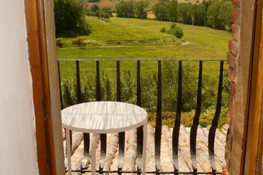 "Rosmarino castellt" - foto 10