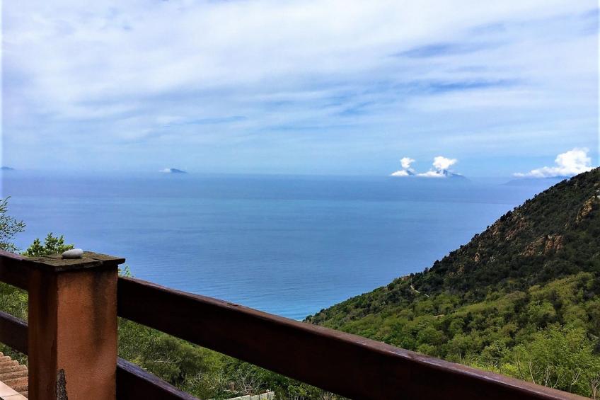 Granatapfel-Wohnung - foto 46