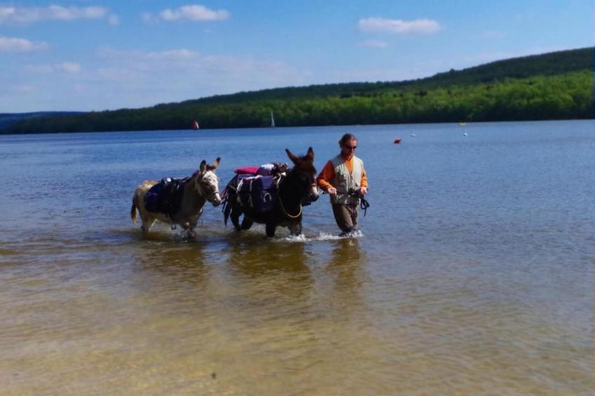 Comet 27 Lodges - foto 21