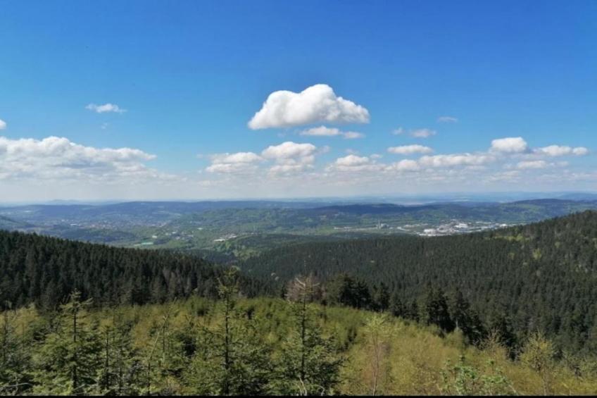 Ferienhaus Anna - foto 24