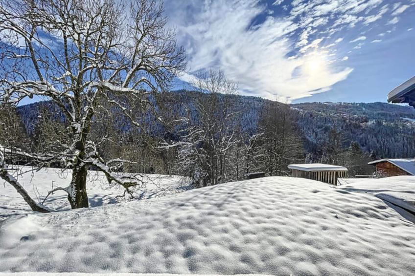 Chalets à Les Gets - foto 48