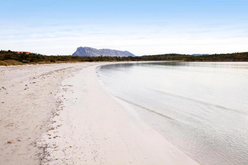 CASA PETRA DE BUSCA - foto 33