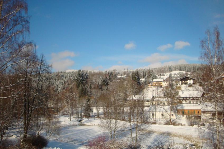 Seitz 1 in Bayerisch Eisenstein - foto 20