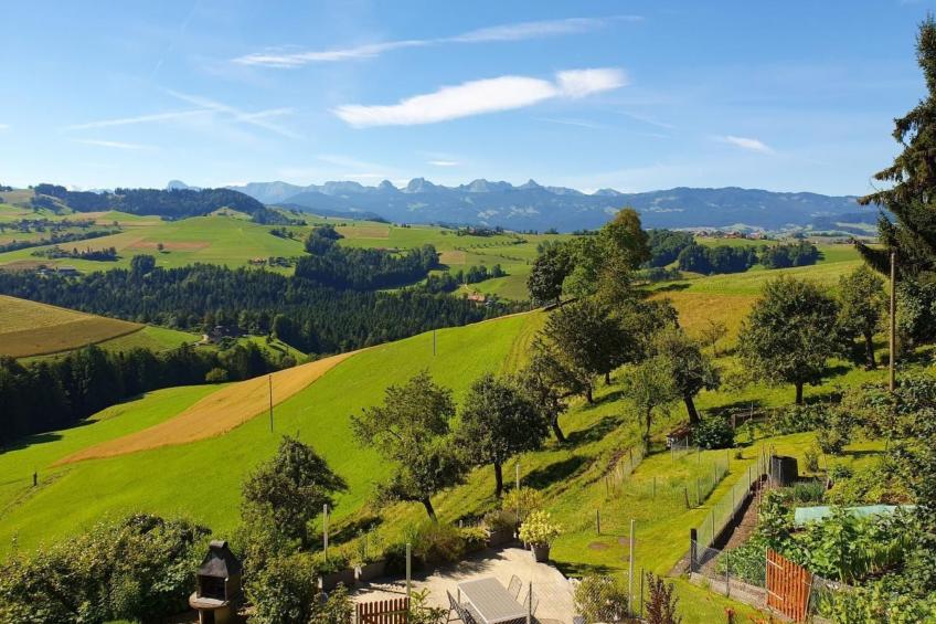 in einem heimeligen Berner-Stöckli - foto 22