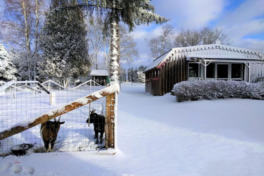 Charmantes Ferienhaus mit gemeinsamem Grill - foto 23