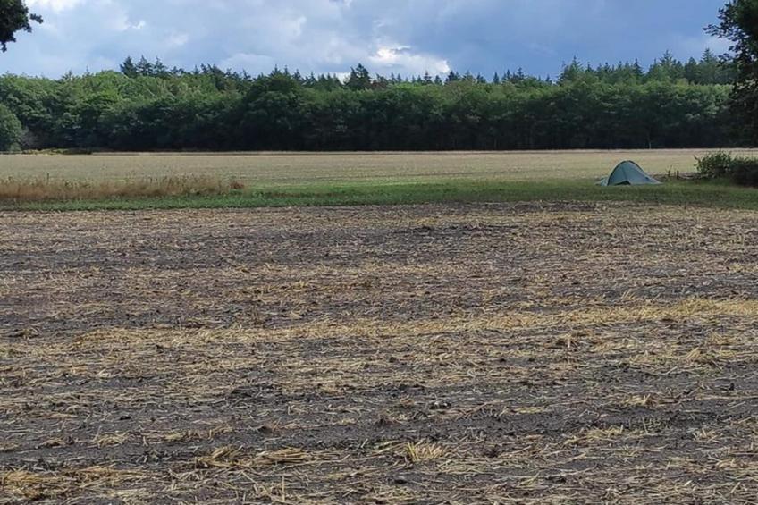 Dwergarend 17-30 - foto 28