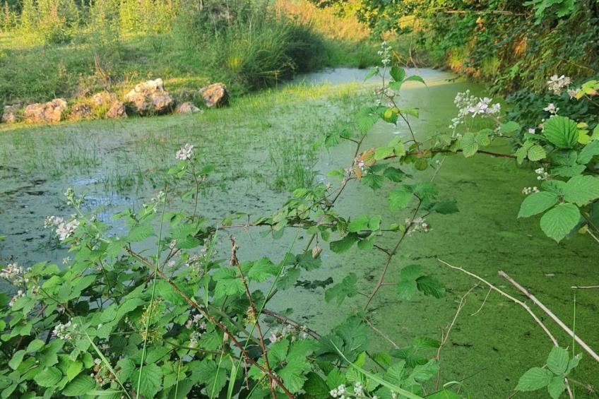 Le Pressoir de mon Père vor den Toren von Honfleur - foto 21