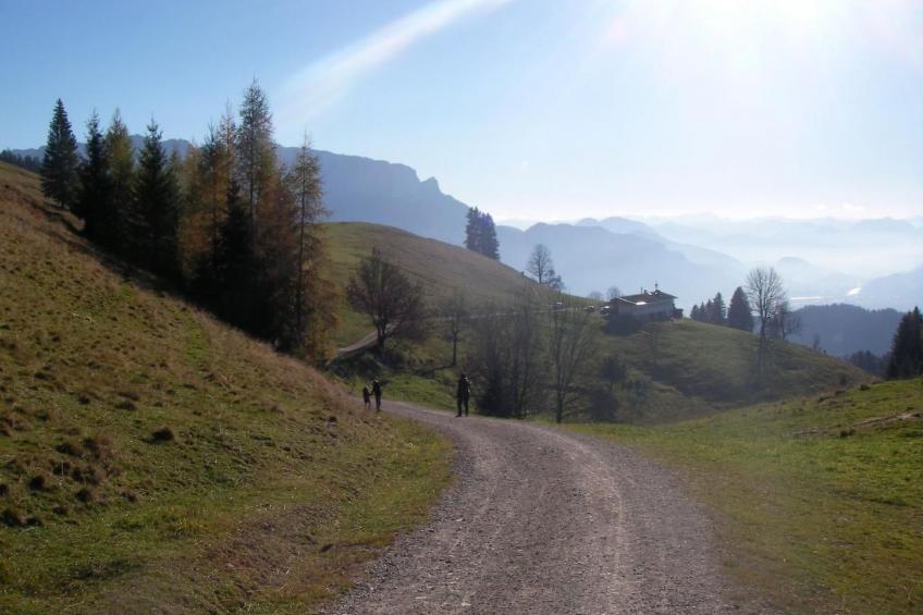 Haus "Hermann" - foto 33