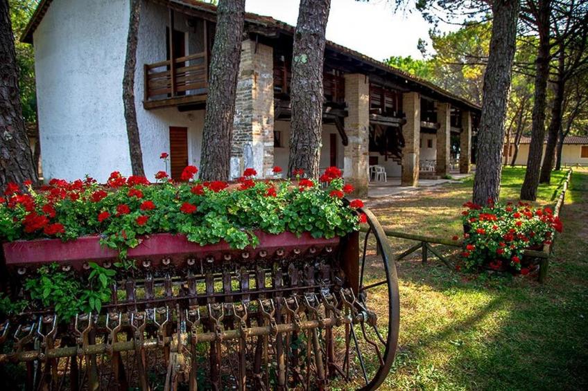 Holiday resort Belvedere, Grado|Pinus