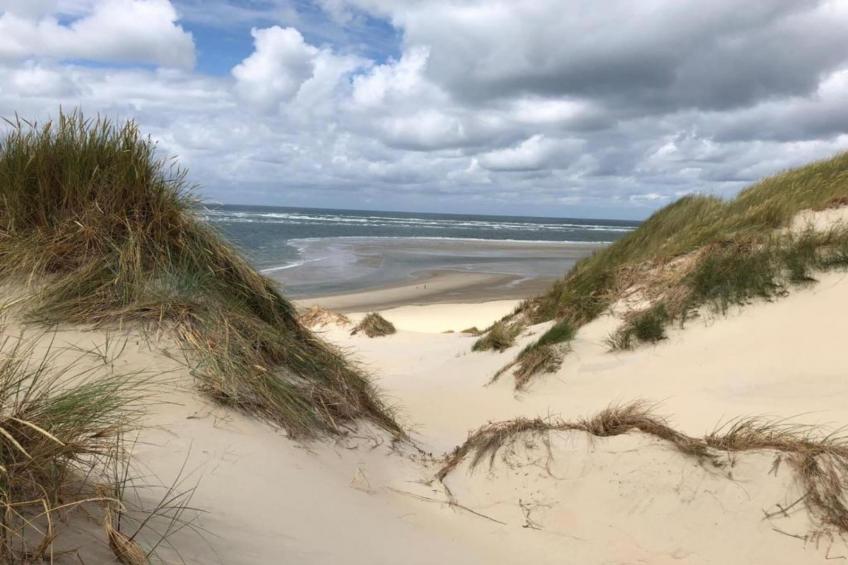 Duindroom op Terschelling - foto 32