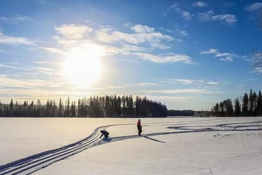 Cape oasis - foto 14