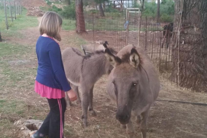 Charmantes Steinhaus mit Pool und Panoramablick - foto 12