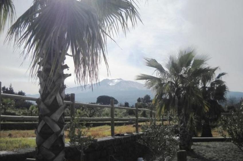 Wohnung mit Garten, Terrasse und Grill - foto 26