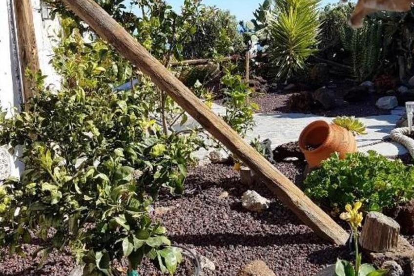 Typisches kanarisches Haus mit Whirlpool - foto 12