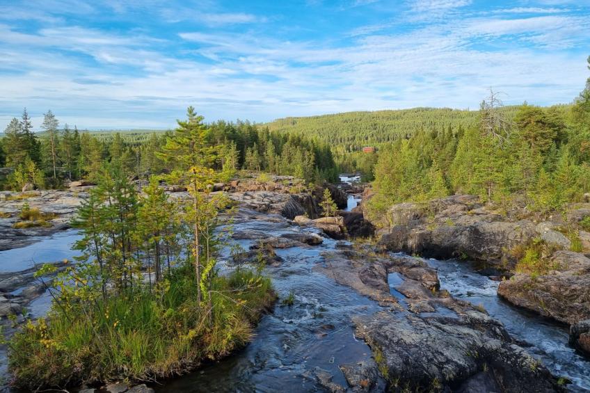 Villa Edda - foto 35