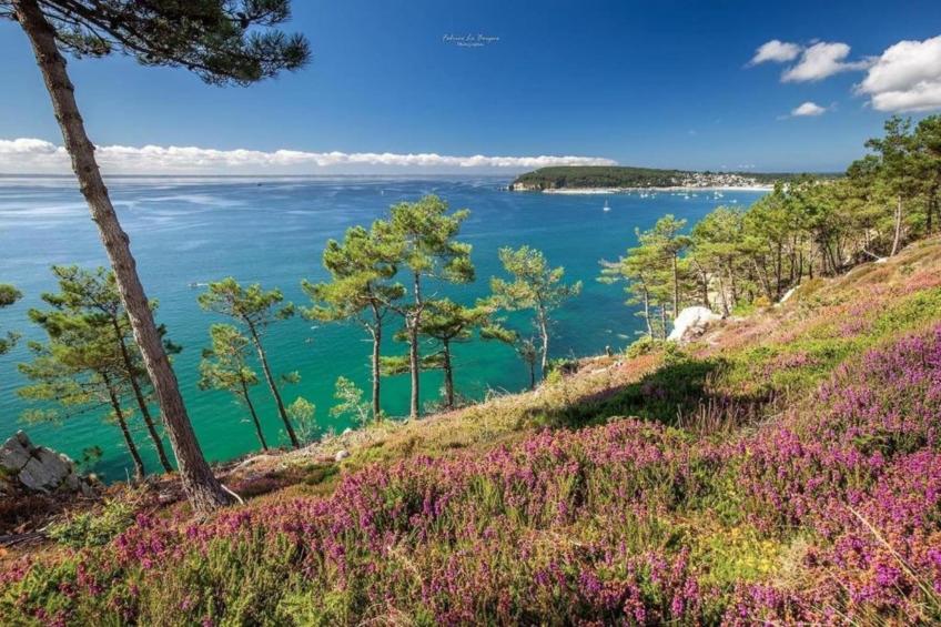 Résidence Horizon Morgat - foto 23