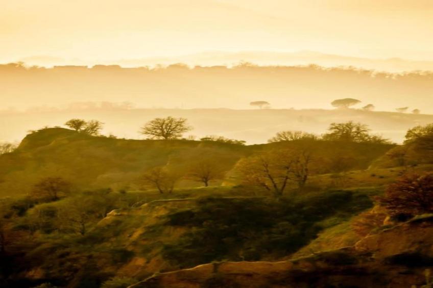 Podere Pulicciano Cantina - foto 35