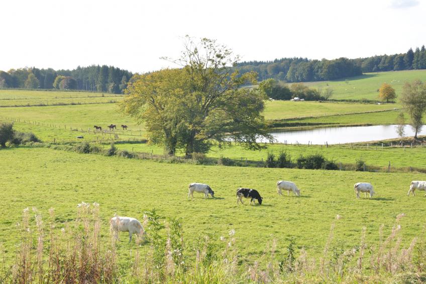 Likthuus 9 - foto 28