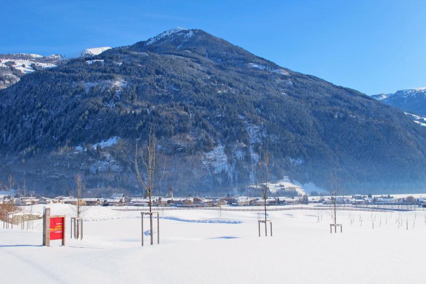 Alpen Lodge - foto 76