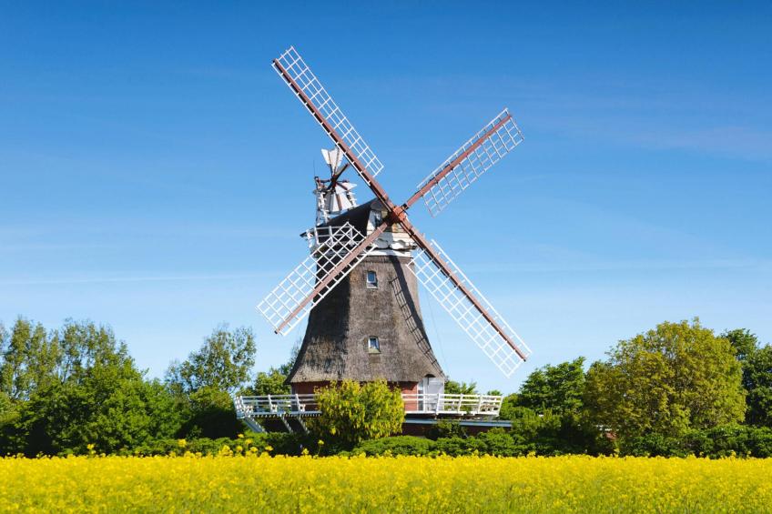 Semi-detached houses, Oldsum auf Föhr - Type A - foto 18
