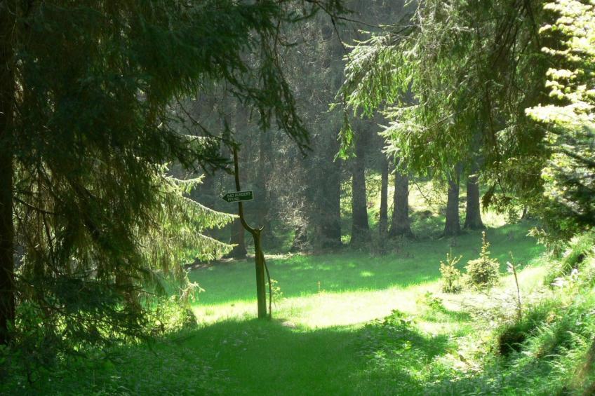 für 6 Personen im Thüringer Wald - foto 11