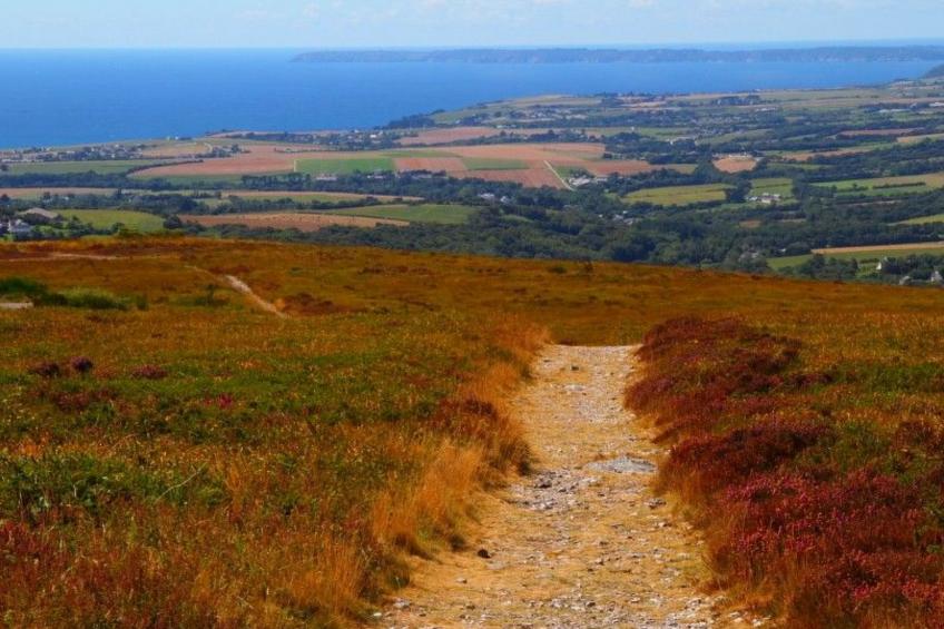 La Maison de Rolie - Vermietung Haus 4-5p - foto 17