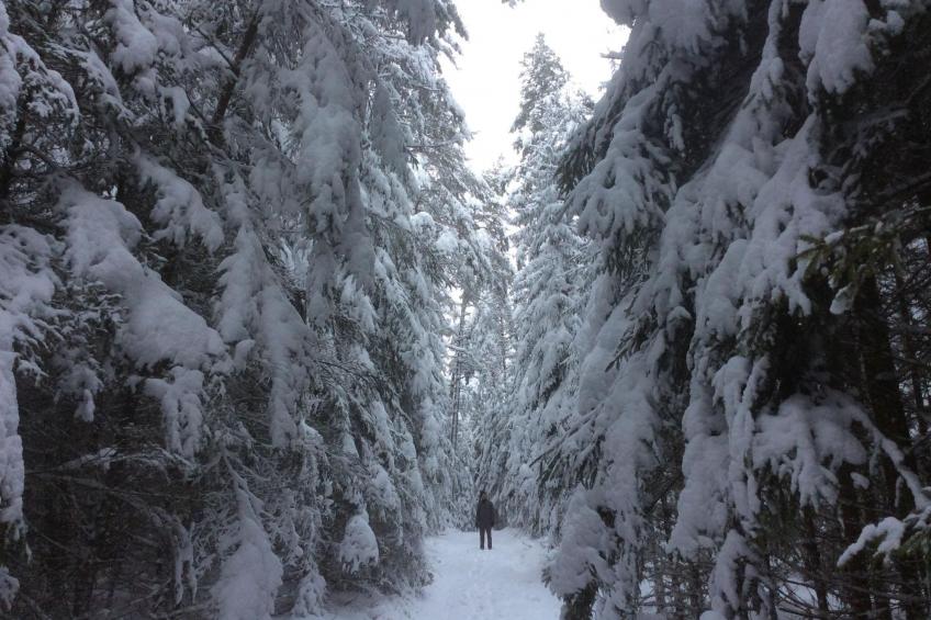 mit einer umwerfenden Panoramaaussicht - foto 42