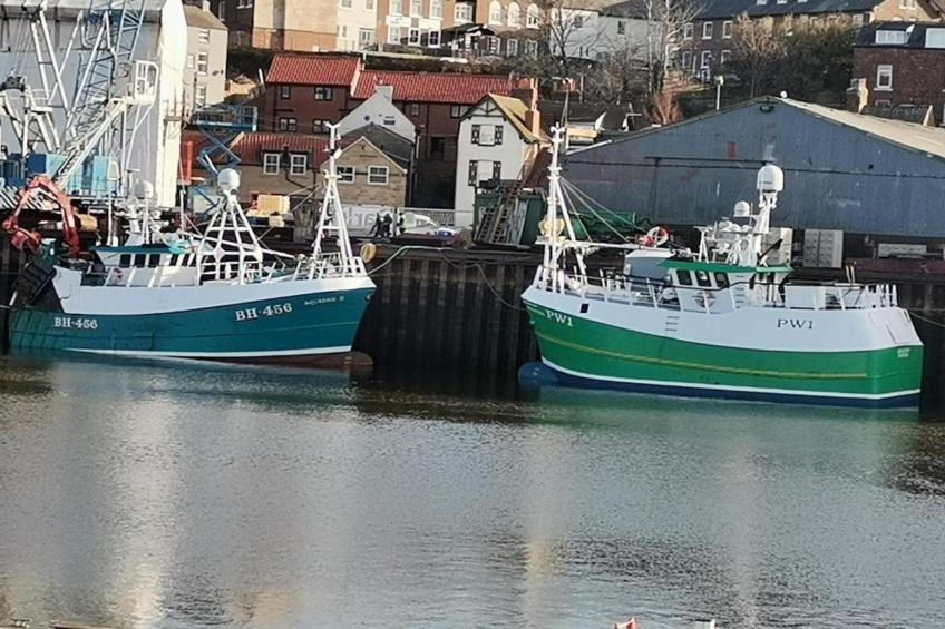 Oystercatcher - foto 20