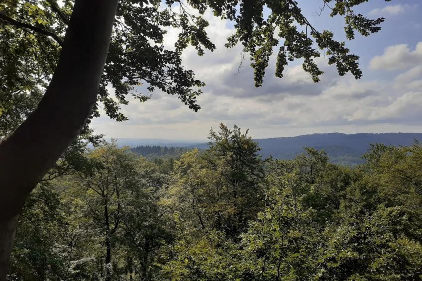 Vakantiehuis, Wieda - foto 29