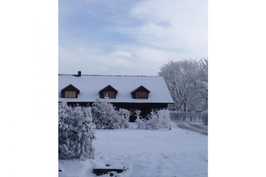 9791 - foto 7