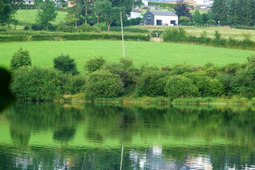 Au bord du Lac - foto 6