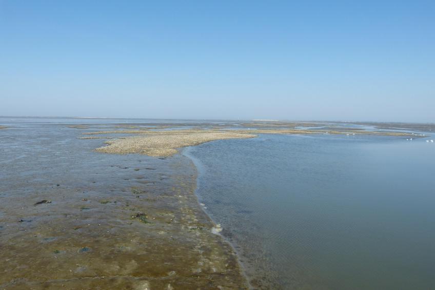 13-17 pax holiday home with separated apartments and gardens - foto 37