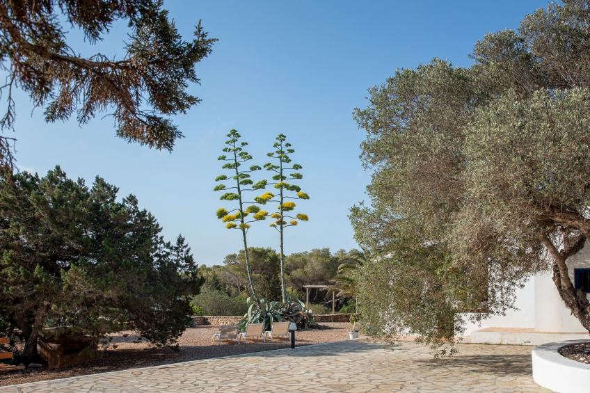 Casa Llevant 4 pax - foto 17