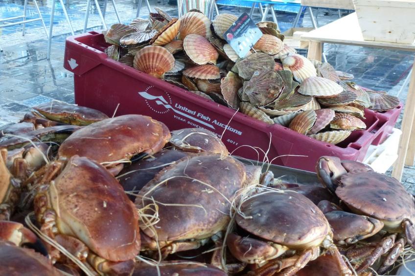 Gîte "Yvonne" à Plurien - foto 39