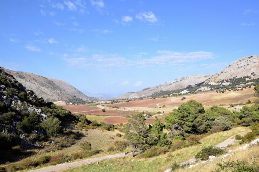 Casa Victor y Celia - foto 39