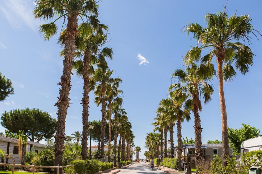 Camping Vendrell  BUNGALOW TROPICAL 4/5 - foto 20