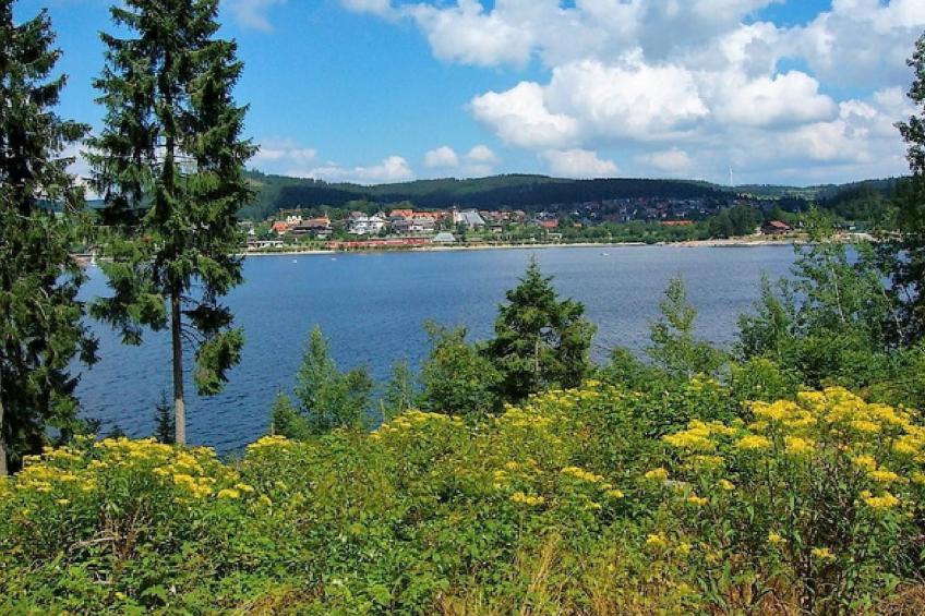 Haus Alpenblick - foto 2