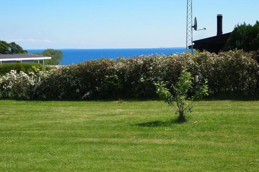 "Silka" - 250m from the sea in SE Jutland - foto 17