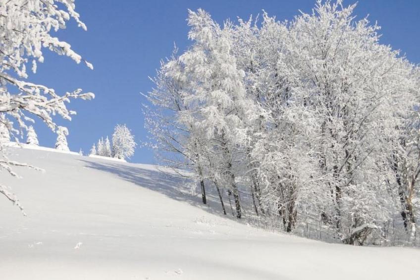Wiesengrund - foto 21