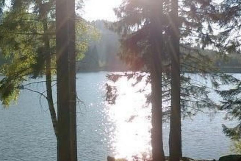 Altes Forsthaus - foto 17